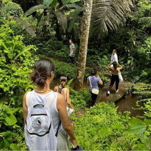 slider_ubudyogahouse_com_02